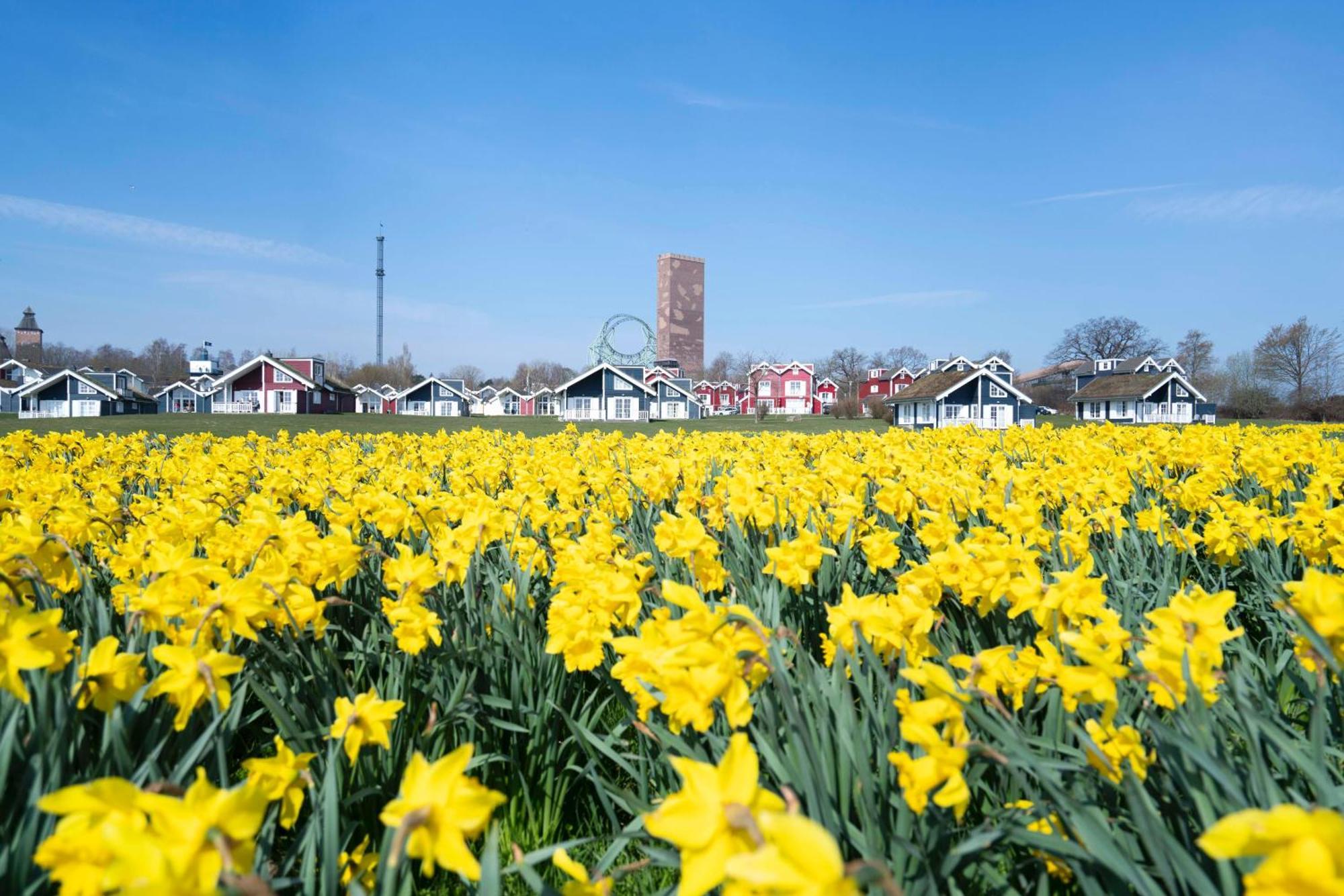 Strandpark Sierksdorf H092 "Ostsehblick" Exteriör bild